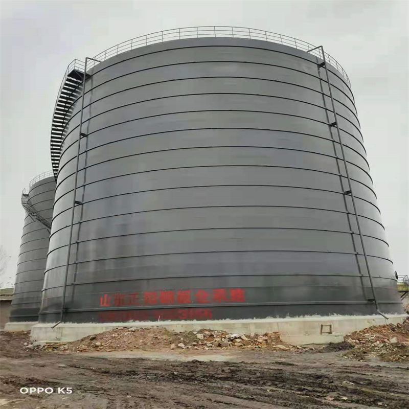 广饶3万吨大型钢板库