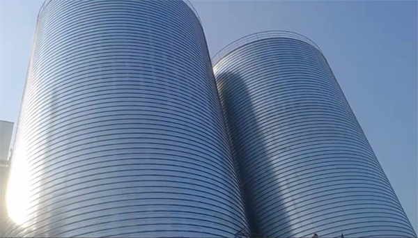 广饶2座混凝土高架卷板仓